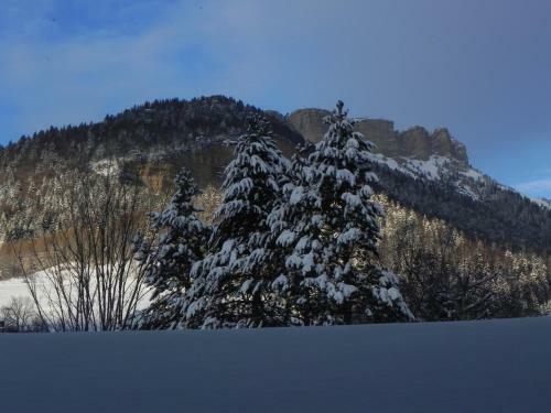 Hotel H�tel Des Skieurs