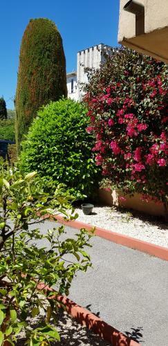 Hotel H�tel Le Galoubet