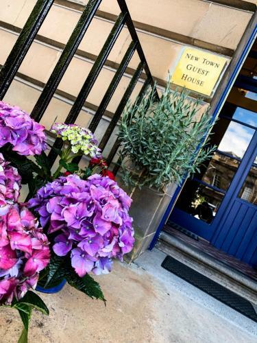 Hostal New Town Guest House (Adults Only)