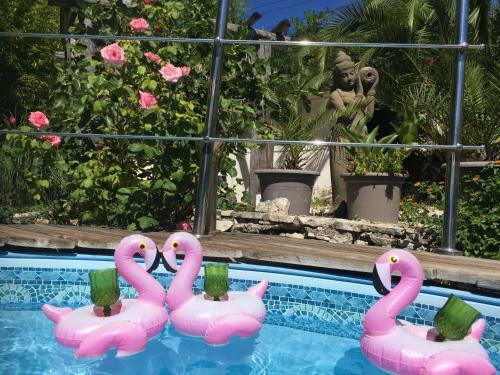 Apartamento Villa Sanssoucis