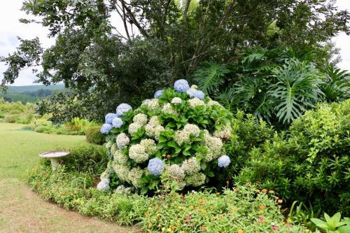 Agroturismo Lakeview Cottages