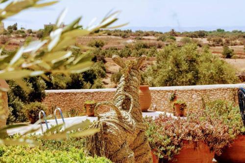 Villa Havre de Paix � Essaouira