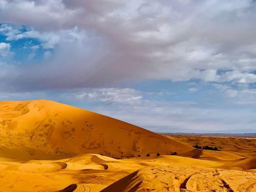 Family Desert Camps