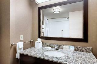 Hotel Hampton Inn Lewiston-auburn