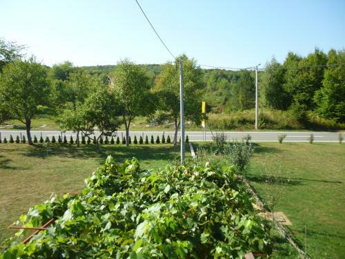 Hostal House Vukovic