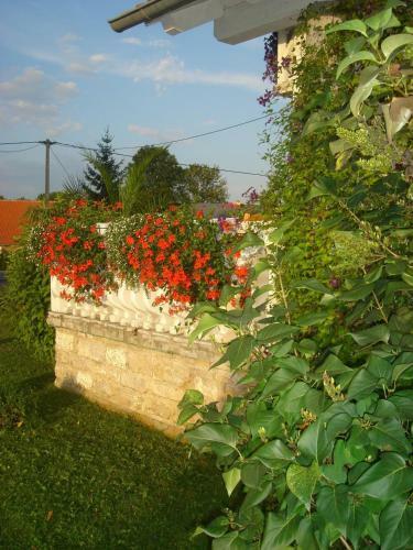 Hostal The White House