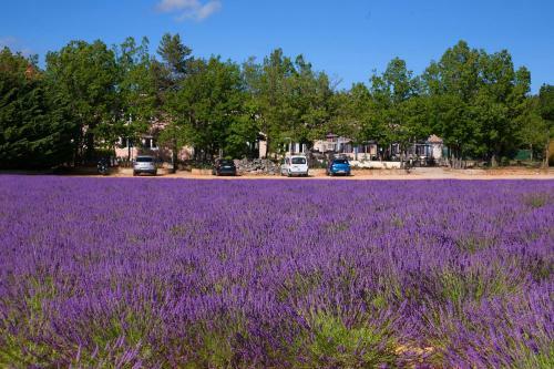 Hotel H�tel Les Lavandins
