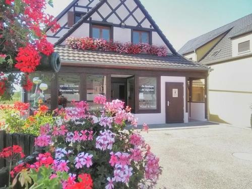 Apartamento Alsace Appartements Mambourg