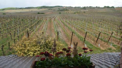 Bed & Breakfast Chambre D'hotes Le Vogelgarten