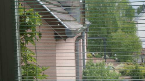 Bed & Breakfast Chambre D'hotes Le Vogelgarten