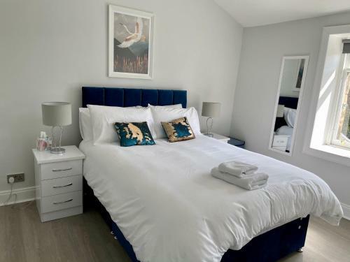 Bright & Cosy Glasgow City Apartment