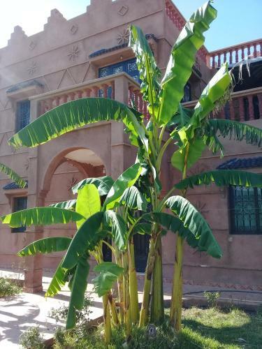 Agroturismo Villa Darga Rouge