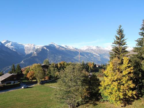 Apartamentos Muverans J Nendaz Station