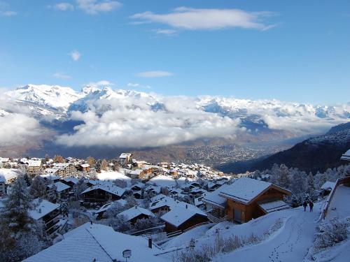 Holiday Home Les Roches Nendaz Station