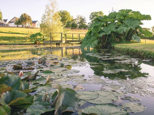 Agroturismo Swallows Dip