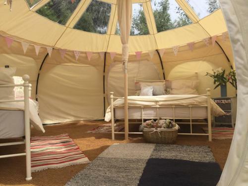 Horsemans Stargazing Tent
