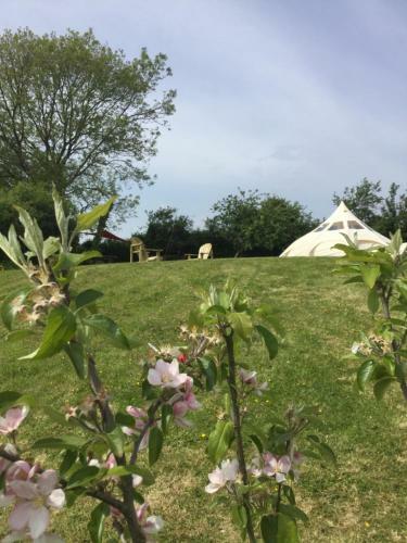 Horsemans Stargazing Tent