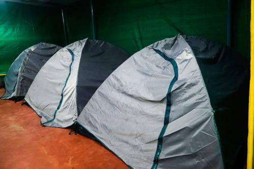 Tiger Camp Jungle Homestay