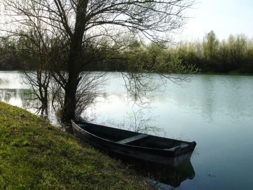 Bed & Breakfast Le Ch�teau de Bressey & Son Orangerie