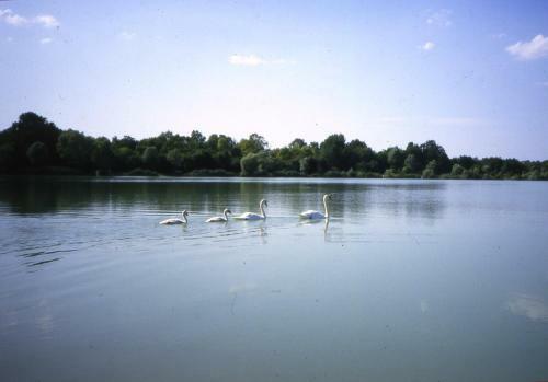 Bed & Breakfast Le Ch�teau de Bressey & Son Orangerie