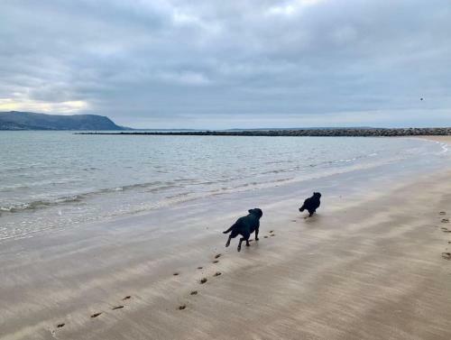 5-bedroom Holiday Home In West Shore, Llandudno