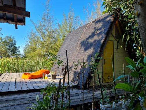Lodge Saho Coffee & Rooms