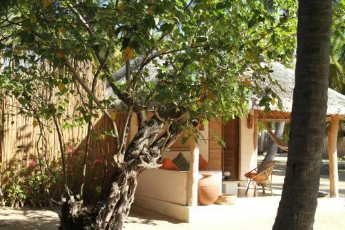 Hotel Cocodance Kitesurfing Resort