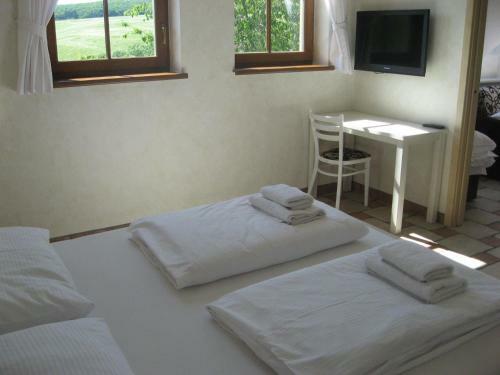 Hostal Penzion Malovan�