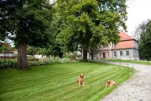 Apartamento Dw�r Kolesin