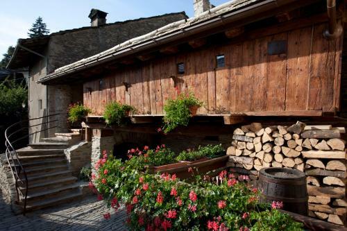 Apartamento Il Fienile Della Nonna
