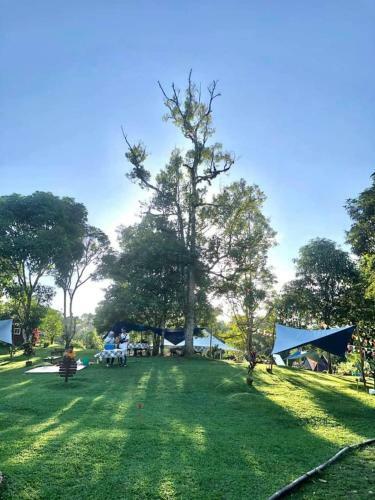 Glamping Sumiran Eco Park & Resort