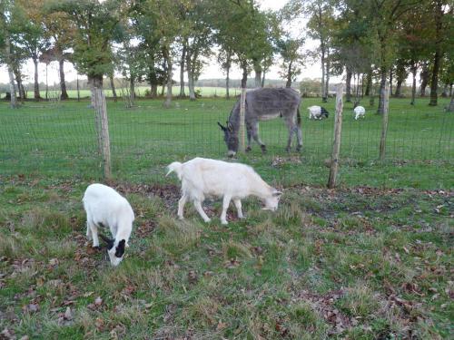 Bed & Breakfast Relais De Chasse Du XVIII Si�cle