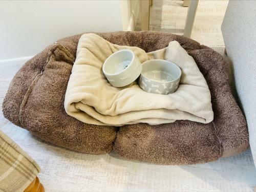 Apartamento The Bluebell Porthmadog
