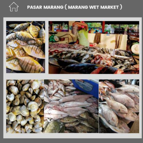 Fishing Village Premium Homes