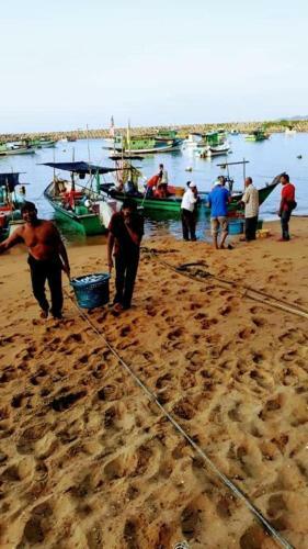 Fishing Village Premium Homes