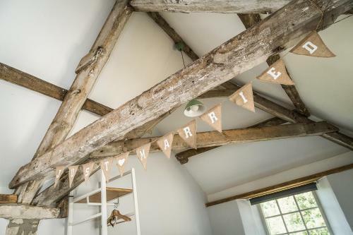 Shellbraes Studio