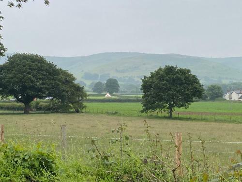 Boutique Bell Tent- Camp Quiet Mountain North Wales