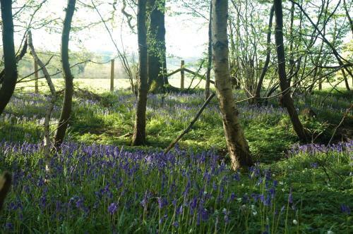 Apartamento Bluebells