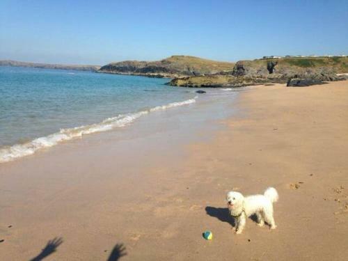 Apartamento The Beach Style Annexe... Dog Friendly!