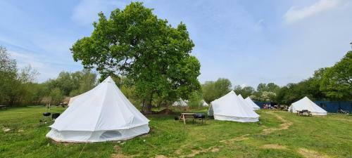 4 Meter Bell Tent - Up To 4 Persons Glamping 18