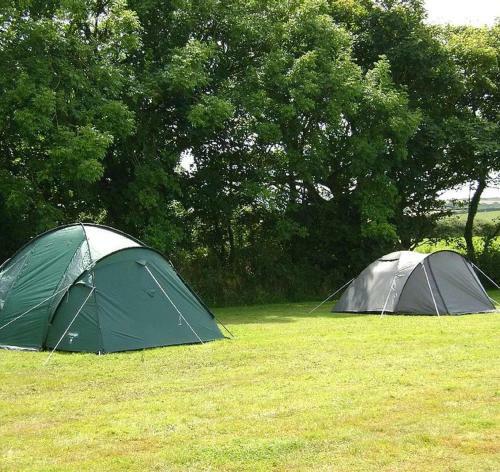 Personal Pitch Tent 6 Persons Glamping 12