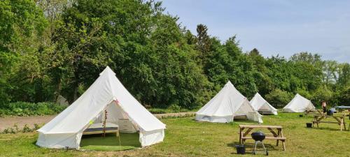 4 Meter Bell Tent - Up To 4 Persons Glamping 2