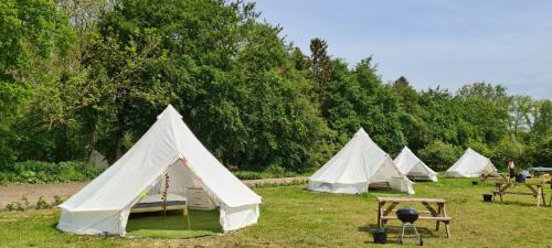 4 Meter Bell Tent - Up To 4 Persons Glamping 19