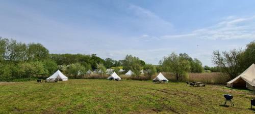 Personal Pitch Tent 6 Persons Glamping 39