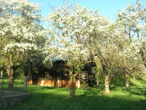 Camping, H�tel de Plein Air Les Cariamas