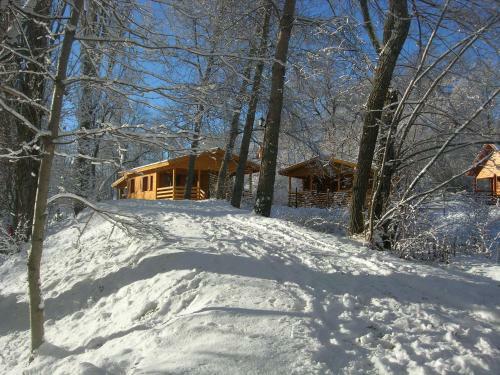 Camping, H�tel de Plein Air Les Cariamas