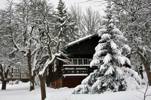 Camping, H�tel de Plein Air Les Cariamas