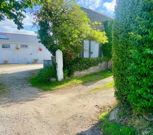 Romantic Log-burner Cornish Cottage Private Garden Dogs Welcome