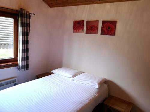Kingfisher Lodge-huntersmoon -warminster-longleat-bath