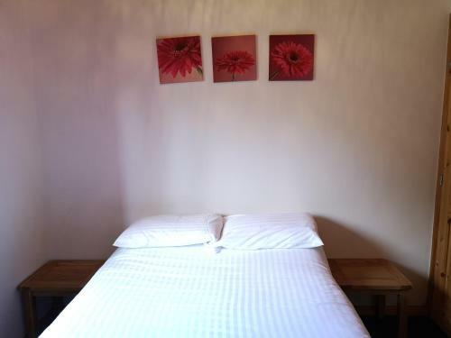 Kingfisher Lodge-huntersmoon -warminster-longleat-bath
